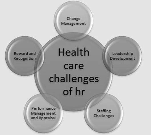 case study on role of hr manager in changing business environment case study on role of hr manager in changing business environment