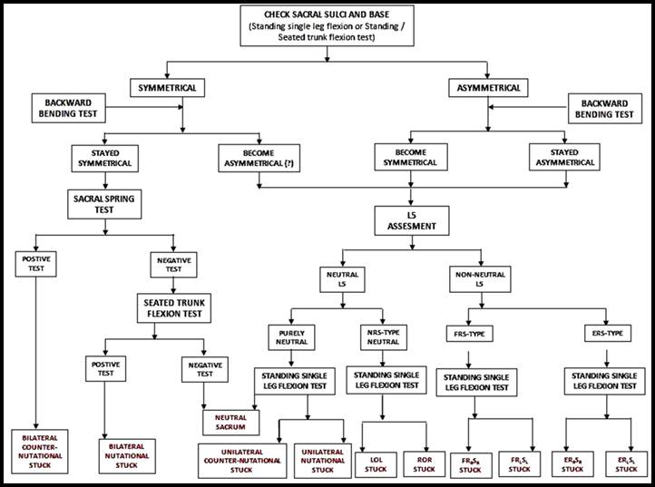 Soccer Syndrome 3 Common Sacral Malalignments and Its Manual