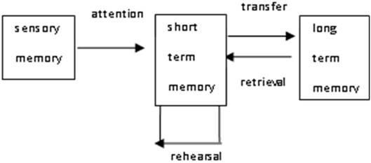 Long Term Memory Chart