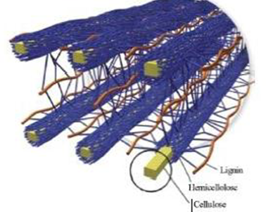 Buy research papers online cheap sawdust cassava nr