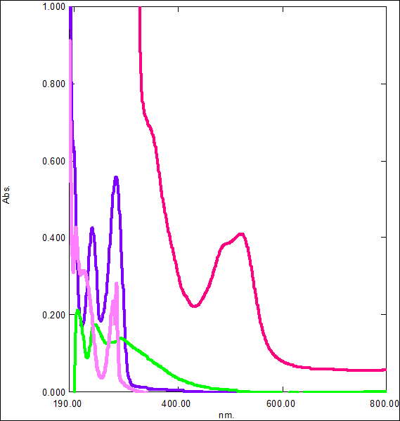 online continuous nowhere differentiable functions